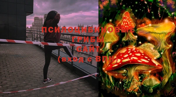 MESCALINE Богородицк