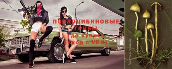 кокаин перу Богданович